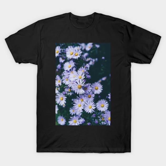 White Daisy Flowers - Daisy Garden T-Shirt by JDVNart